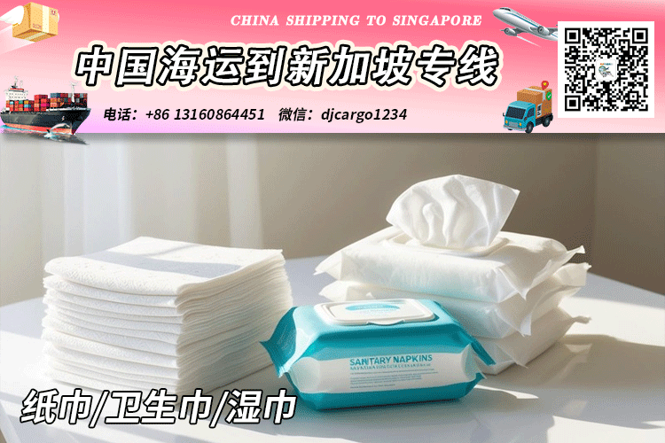 纸巾/卫生巾/湿巾海运整柜到新加坡SG→小詹