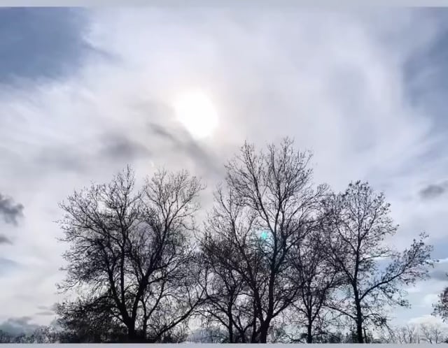 The silhouette of trees can be seen against a blue and white sky.