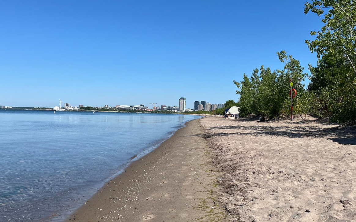Hanlon's Point beach