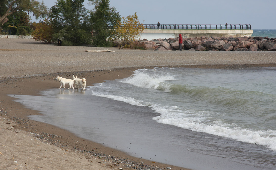 Kew-Balmy Beach
